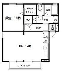 ルミエールセンジュ 2階1LDKの間取り