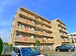 フォルティーヌ皿沼