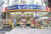 くすりセイジョー新丸子店 徒歩10分。 790m