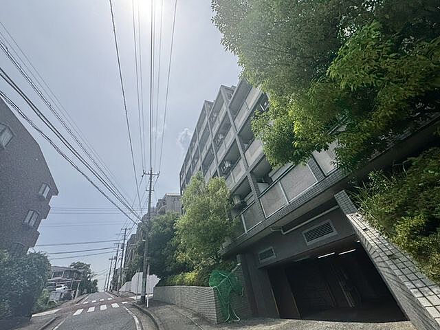 6 / 24