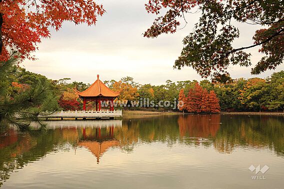 緑ケ丘公園の外...