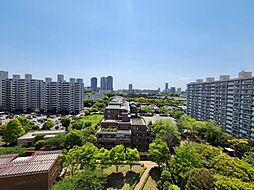 南西向きで陽当たりが良く開放感のある眺望