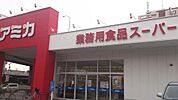 アミカ堀田店 554m