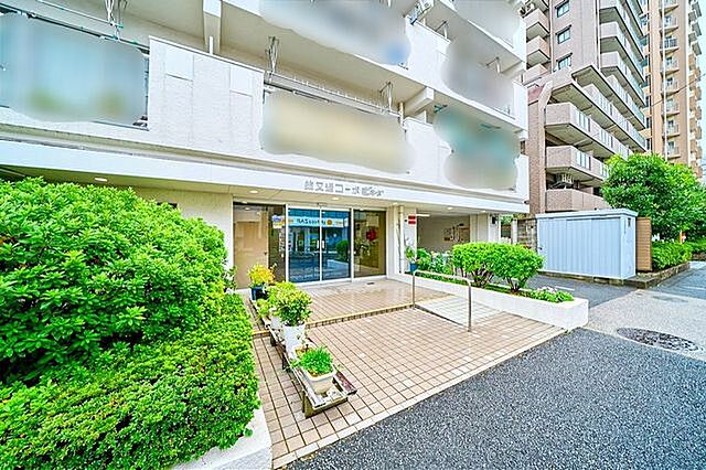 エントランス 小岩柴又通コーポビアネーズ 7階/-