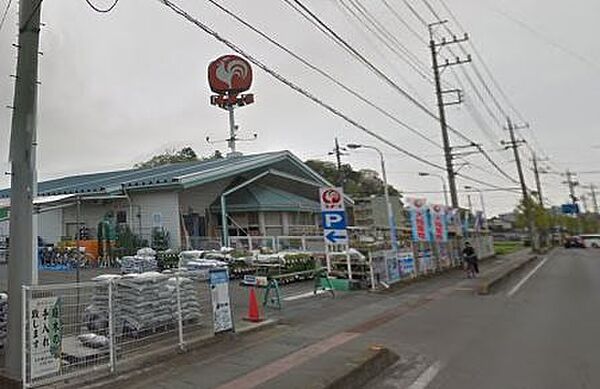画像17:コメリ　太田大島店（788m）