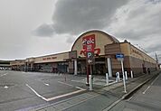 ベルク 竜舞店（1174m）