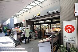 【スーパー】ダイエー月島店まで280ｍ