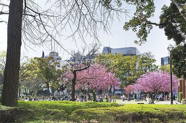 画像20:【公園】横浜公園まで388ｍ