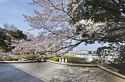 ＳＹＦＯＲＭＥ　ＭＯＴＯＭＡＣＨＩ−ＣＨＵＫＡＧＡＩ