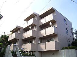 シェスタカメオ