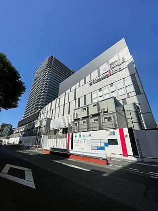 都市の鼓動を感...