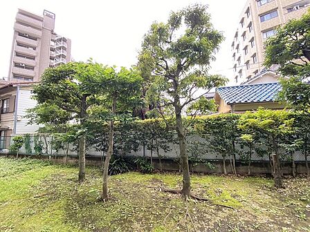 住戸からの眺望写真 