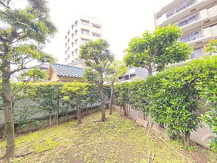 住戸からの眺望写真 
