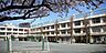 周辺：世田谷区立経堂小学校（120m）