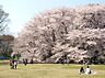 周辺：都立砧公園正門（1219m）