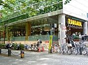 TSUTAYA 馬事公苑店（1302m）