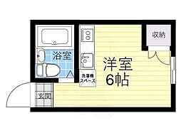 ミモザ