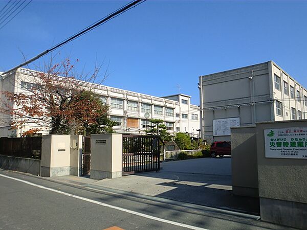 画像20:【小学校】大阪市立十三小学校まで246ｍ