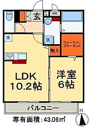 グレイスコート 1LDKの間取図画像