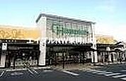 ハピッシュ国府市場店 1441m