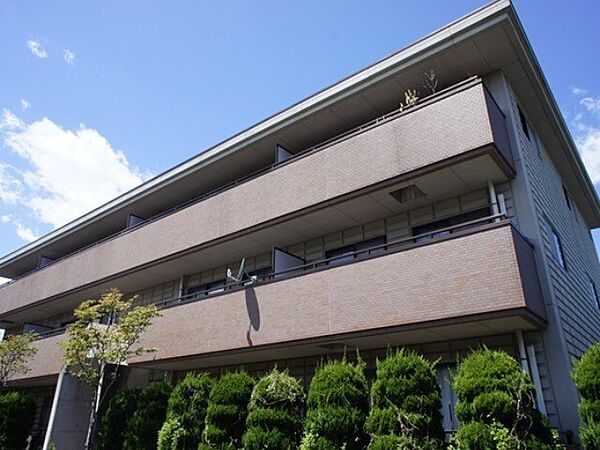 栃木県宇都宮市星が丘1丁目(賃貸マンション3LDK・2階・60.92㎡)の写真 その1