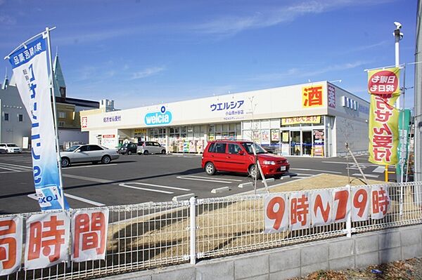 栃木県小山市大字横倉新田(賃貸アパート2LDK・1階・52.99㎡)の写真 その26