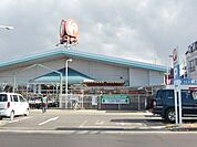 コメリハード＆グリーン宇都宮山本店 721m