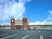 ＴＳＵＴＡＹＡ 495m