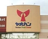 ヤオハン壬生店 786m