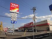 ツルハドラッグ宇都宮戸祭店 365m