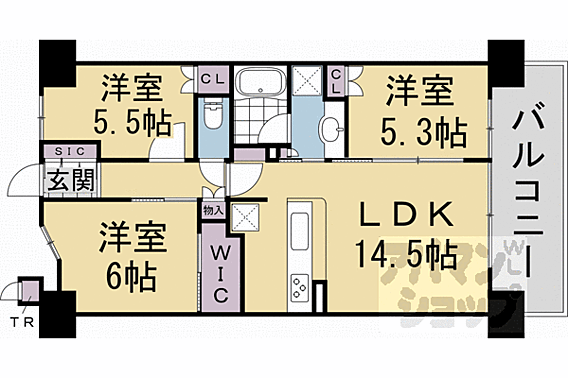 クラッシィハウス京都六地蔵ブライトタワー棟_間取り_0