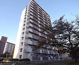 向島ニュータウン　2街区　Ｄ棟