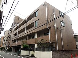 コルテリベロ