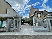 大阪樟蔭女子大学(大学・短大)まで3300m
