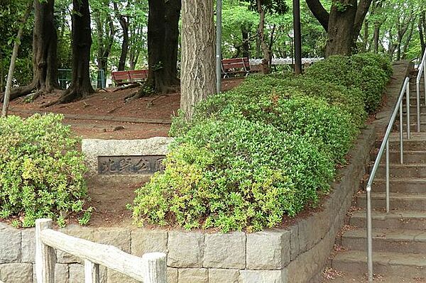 周辺を拡大表示