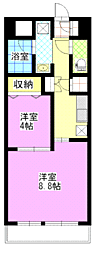 アリビオマンション 1LDKの間取図画像