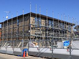 サンフラワー Ｂ