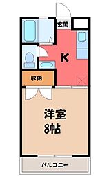 フォレストヒルズ 1階/-