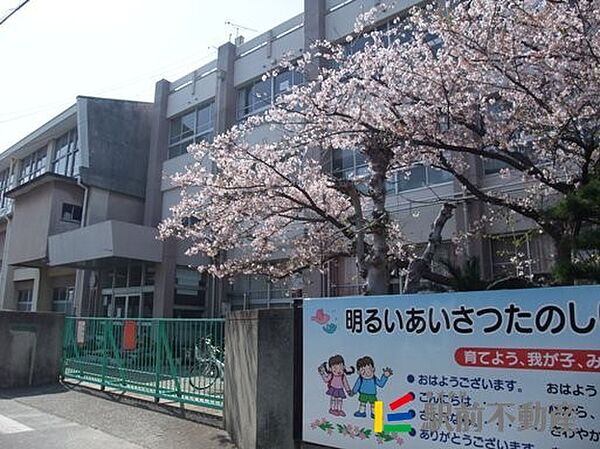 画像2:京町小学校 校門で桜が迎えてくれます
