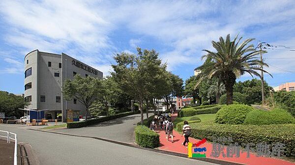 ステーションタウン大善寺II 102｜福岡県久留米市大善寺町宮本(賃貸アパート3DK・1階・62.10㎡)の写真 その25