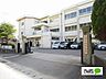 周辺：小学校「鳴門市立林崎小学校まで293m」