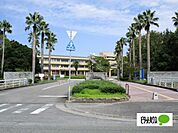 大学「国立鳴門教育大学まで1016m」