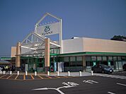 サニー光が丘店（244m）