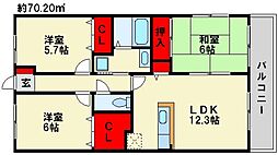 サントラップアベニュー 5階/501