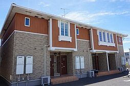 アリエル・ヴィオラ　Ｂ