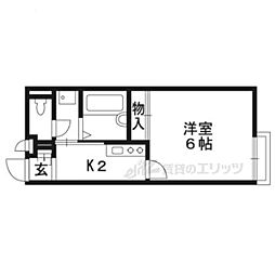 レオネクストステュディオ 1階1Kの間取り