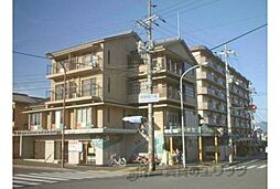 サンフラワー嵐山