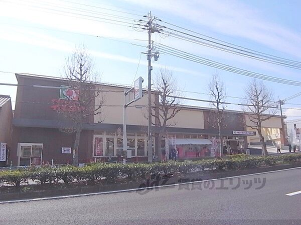 京都府京都市北区鷹峯旧土居町(賃貸マンション1K・4階・26.07㎡)の写真 その18