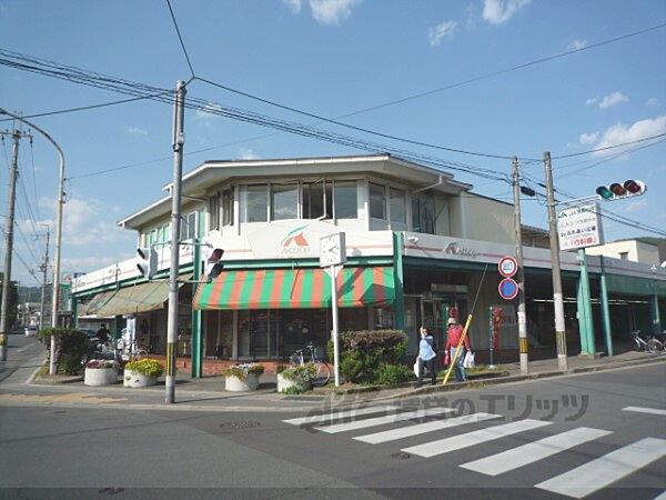 京都府京都市左京区岩倉中町(賃貸マンション3LDK・2階・58.86㎡)の写真 その21