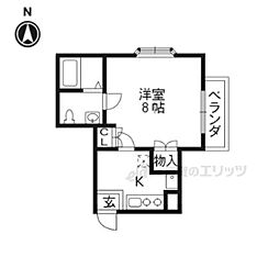 HEIGHTS華 1階1Kの間取り